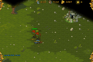Majesty: The Fantasy Kingdom Sim 12