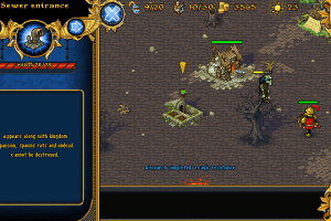 Majesty: The Fantasy Kingdom Sim 17