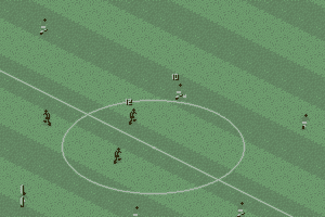 Manchester United: The Double 0
