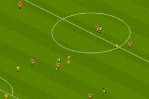Manchester United: The Double 13