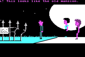 Maniac Mansion 15