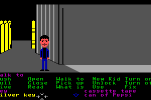 Maniac Mansion 29