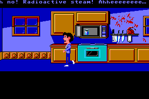 Maniac Mansion 13