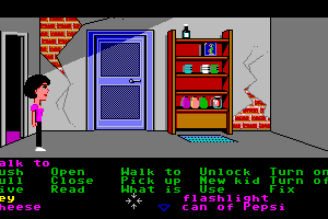 Maniac Mansion 33