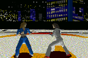 Martial Arts 3D 1