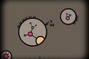 Maru 6