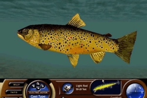 Matt Hayes' Fishing abandonware