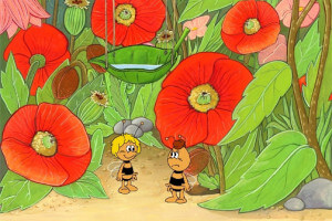 Maya the Bee: A Wonderful Surprise! 8