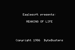 Meaning of Life 0