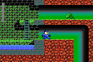 Mega Man 3: The Robots are Revolting abandonware