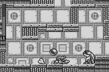 Mega Man & Bass 11