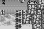 Mega Man & Bass 19