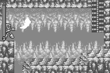 Mega Man & Bass 3