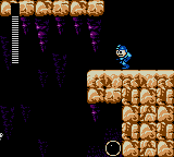 Mega Man 15