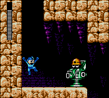 Mega Man 17