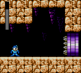 Mega Man 18