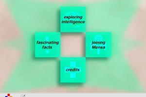 Mensa Mindbenders 3
