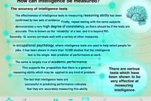 Mensa MindTeasers 2