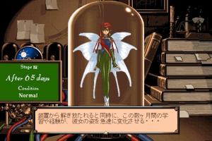 Mercurius Pretty Windows
