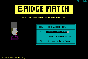 Micro Bridge Companion 13