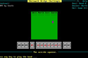 Micro Bridge Companion 18