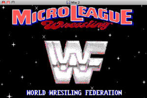 Micro League Wrestling 2 6