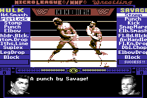 MicroLeague Wrestling 3