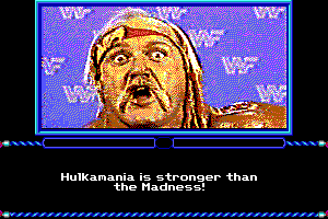 MicroLeague Wrestling 3