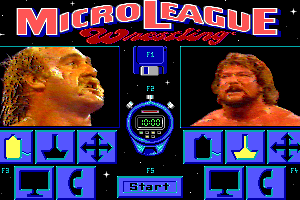 MicroLeague Wrestling 4