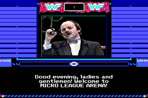 MicroLeague Wrestling 8