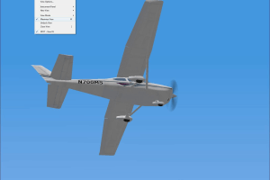 Microsoft Flight Simulator 2000: Professional Edition 6