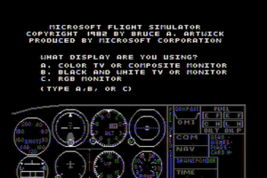 Microsoft Flight Simulator (v1.0) 2