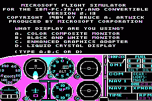 Microsoft Flight Simulator (v2.0) 0