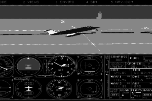 Microsoft Flight Simulator (v3.0) 8