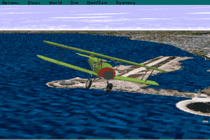 Microsoft Flight Simulator (v5.0) 10