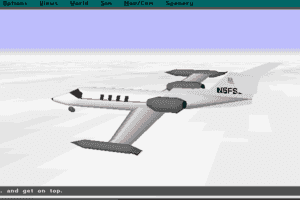 Microsoft Flight Simulator (v5.0) 4