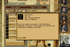 Might and Magic IX 15
