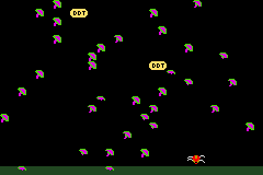 Millipede 5