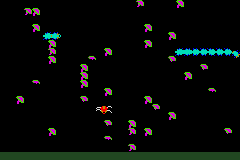 Millipede 7