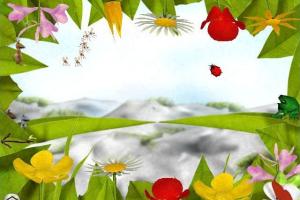Milo and the Magical Stones 6