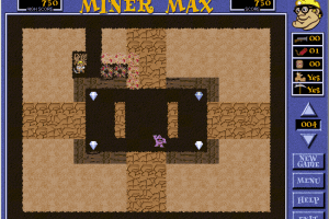Miner Max 9