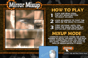 Mirror Mixup 2