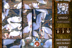 Mirror Mixup 6