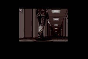 Mirrors 2