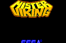 Mister Viking 0