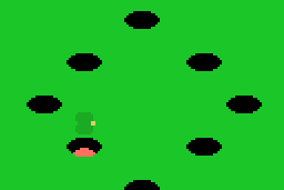 Mole 5