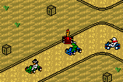Moorhuhn: Kart Racer 2