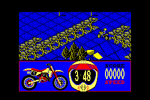 Motorbike Madness abandonware