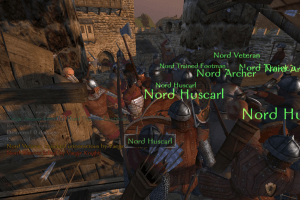 Mount & Blade 11