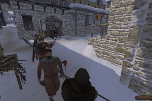 Mount & Blade 25